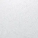 7.webp