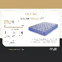 8.webp